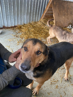 Adopter Malcolm