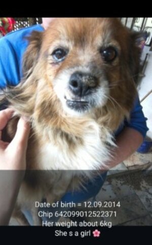 Adopter Mamizza