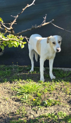 Adopter Marilou