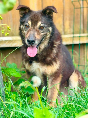Adopter Matisse