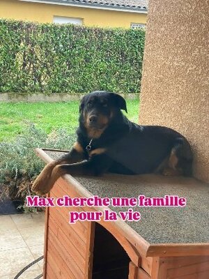 Adopter Max