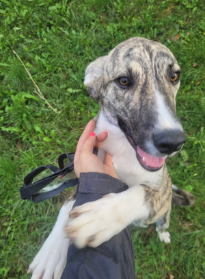 Adopter Michaella