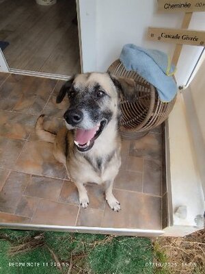 Adopter Milo