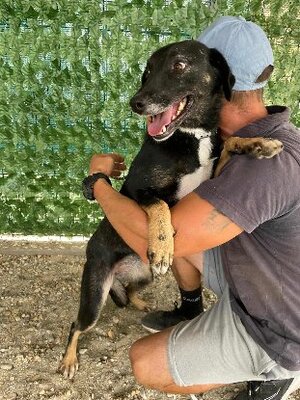 Adopter Mora
