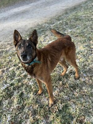 Adopter Murphy