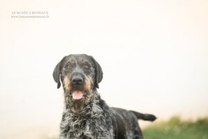 Adopter Nina