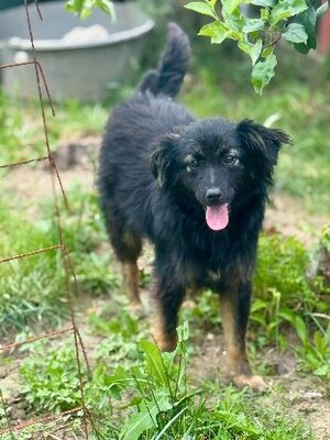 Adopter Nyx