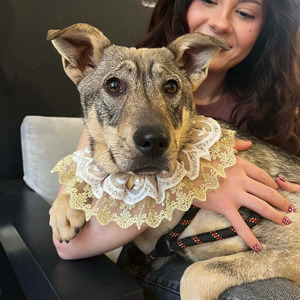 Adopter Opra
