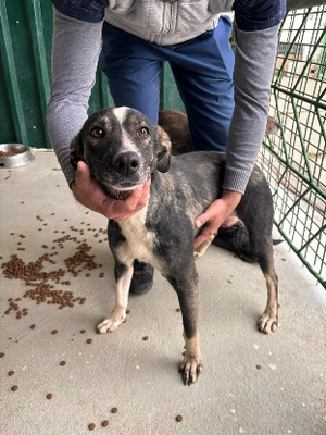 Adopter Osmose