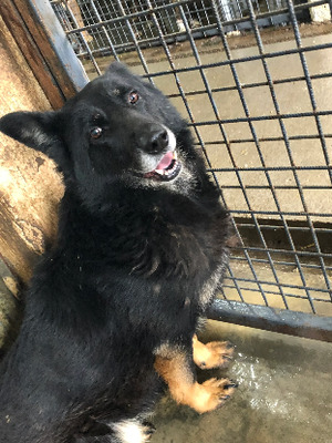 Adopter Paulette
