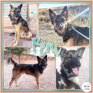 Adopter Peru