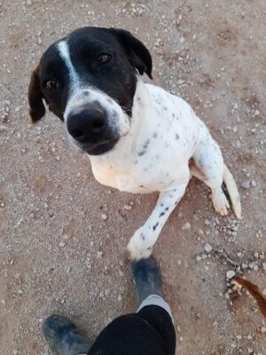 Adopter Pili & mili