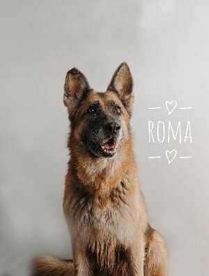Adopter Roma
