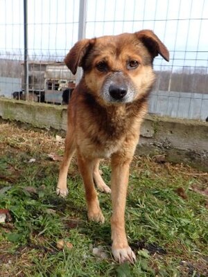 Adopter Sabayon