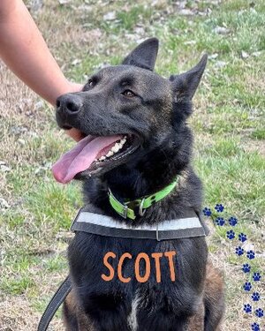 Adopter Scott