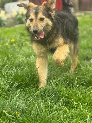 Adopter Sésame