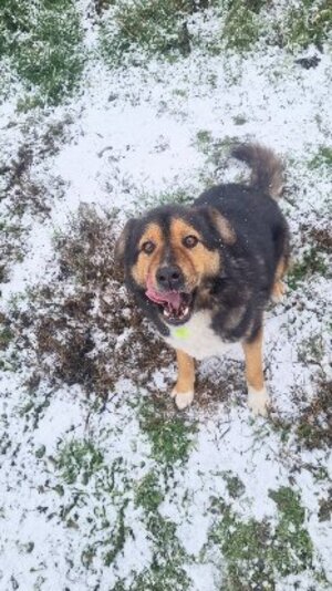 Adopter Sheriff