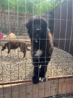 Adopter Snug