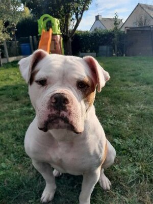 Adopter Taïka