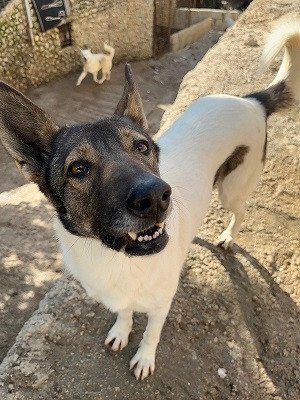 Adopter Tina