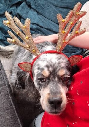 Adopter Tina