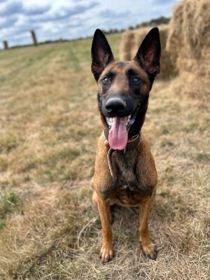 Adopter Tobi