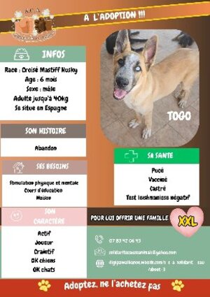 Adopter Togo