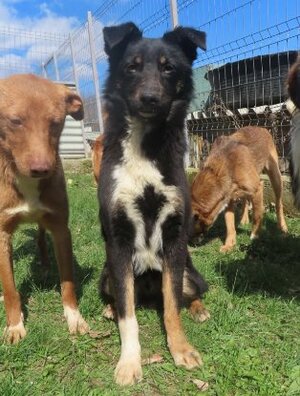 Adopter Tounet
