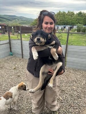 Adopter Trixie