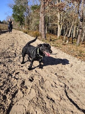 Adopter Tsuky