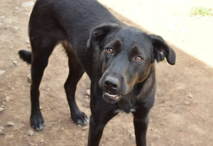 Adopter Yanna