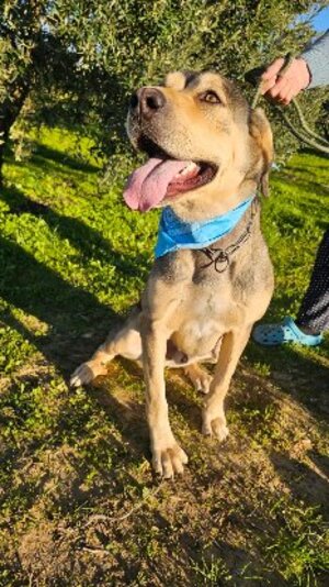 Adopter Zeus