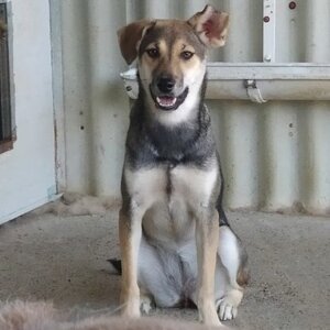 Adopter Zoée