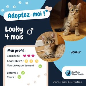 Adopter Louky