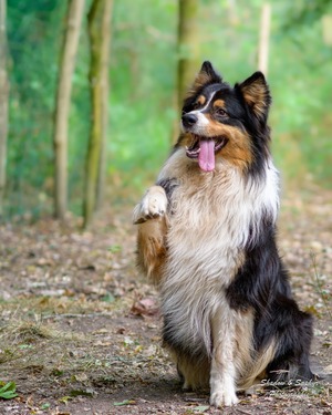 Adopter Pablo