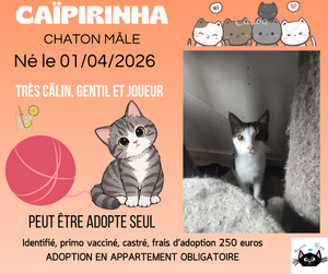 Adopter Caïpirinha