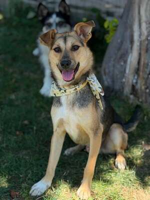 Adopter Bélize