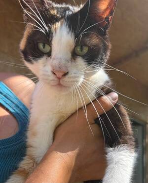 Adopter Kathy