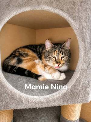 Adopter Nina