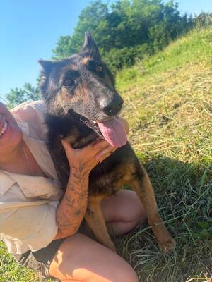 Adopter Liv