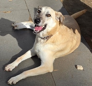 Adopter Kinder