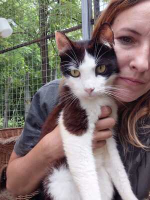 Adopter Pimousse