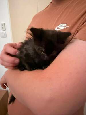 Adopter Cosmos