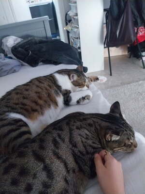 Adopter Peper et Salt