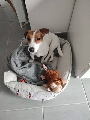 Adopter Inaïa
