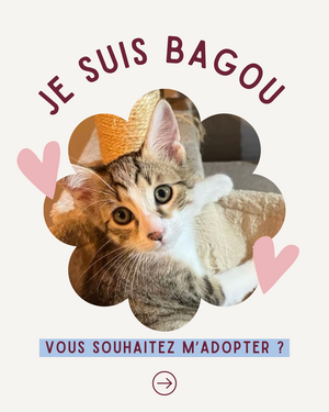 Adopter Bagou 