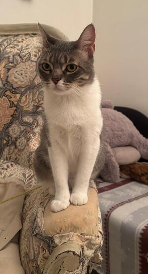 Adopter Nuage