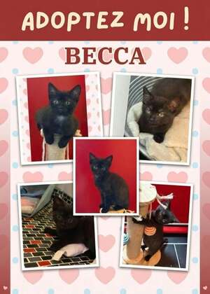 Adopter Becca