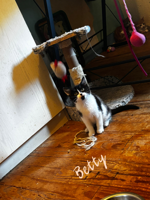 Adopter Betty