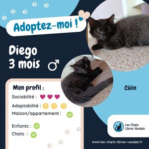 Adopter Diego